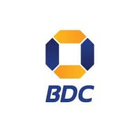 PROJECT MANAGER – DEVELOPMENT BOTSWANA (Pty) LTD