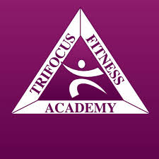 Trifocus Login Guide: How to Access Your Student Dashboard